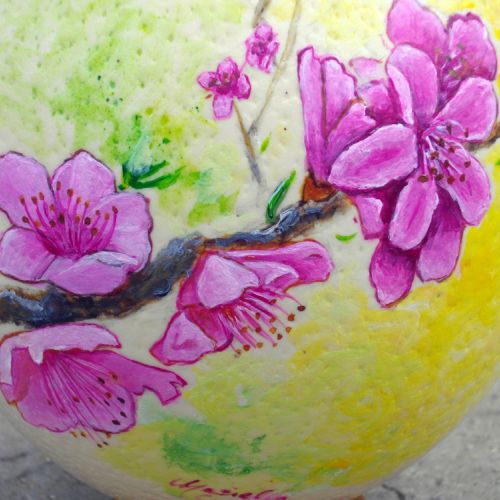 fiori di pesco 3 G